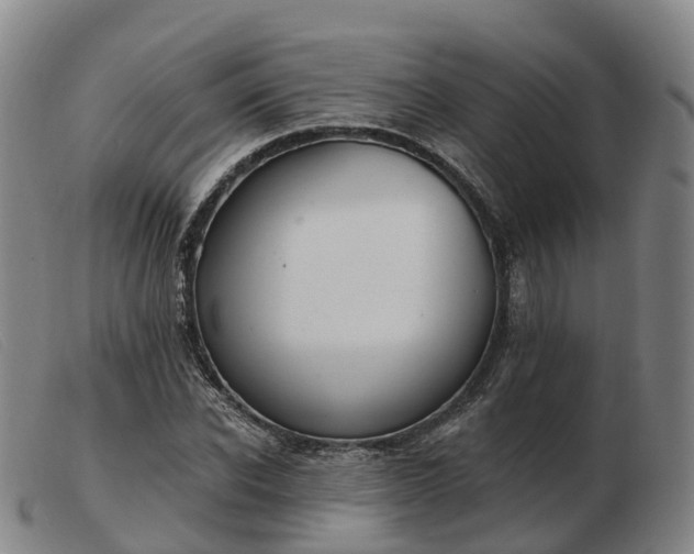 X0000103440926200809191721