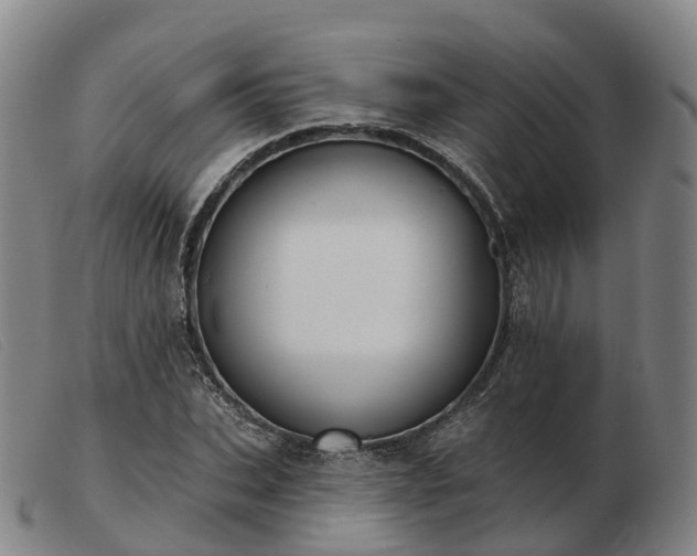 X0000103440927200809191721