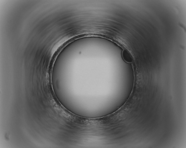 X0000103440928200809191721