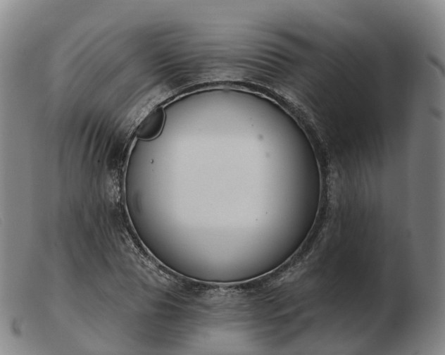 X0000103440929200809191721