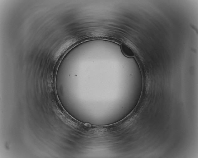 X0000103440930200809191721