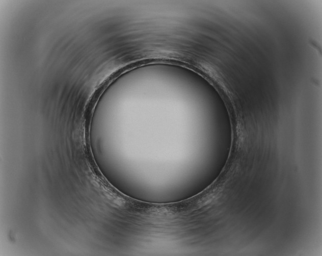 X0000103440931200809191721