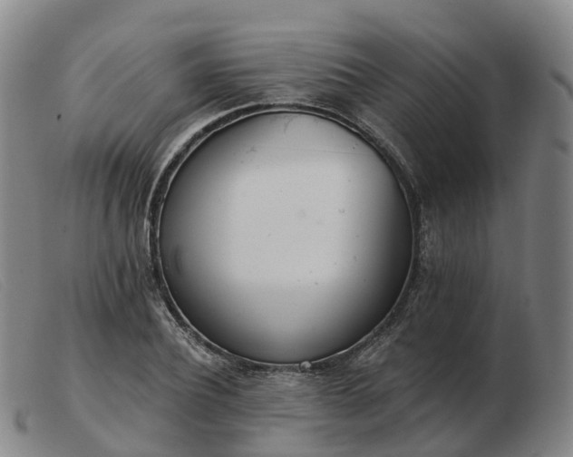 X0000103440932200809191721