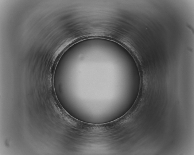 X0000103440933200809191721
