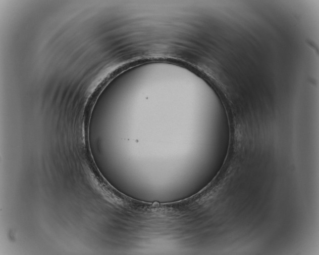 X0000103440934200809191721