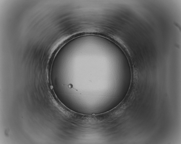 X0000103440935200809191721