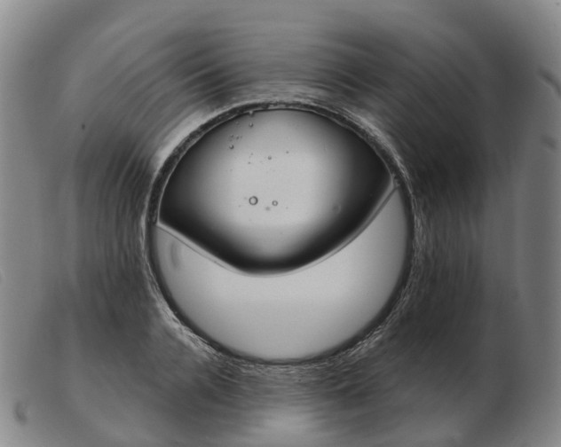 X0000103440936200809191721