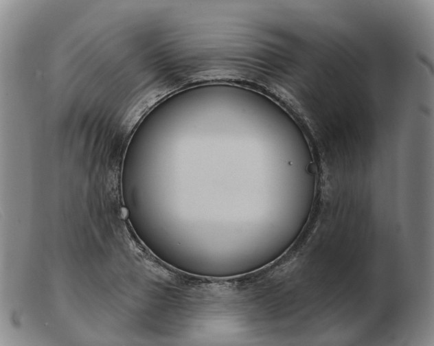 X0000103440937200809191721