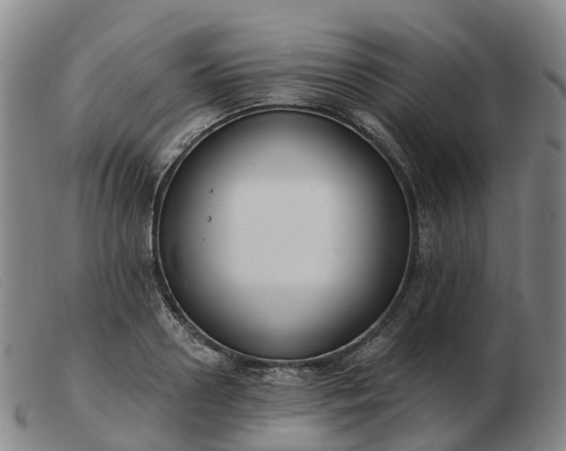 X0000103440938200809191721