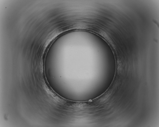 X0000103440939200809191721