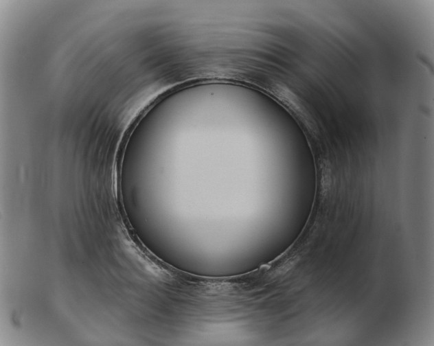X0000103440940200809191721