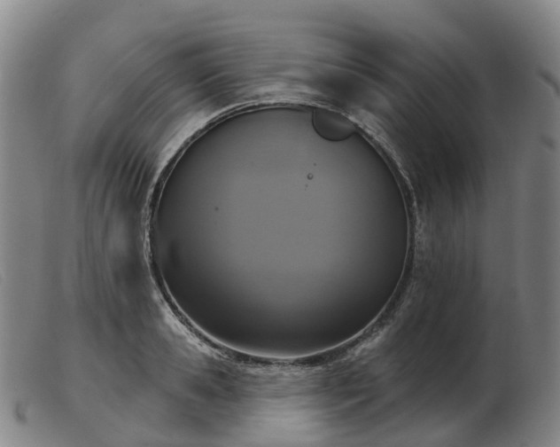 X0000103440941200809191721