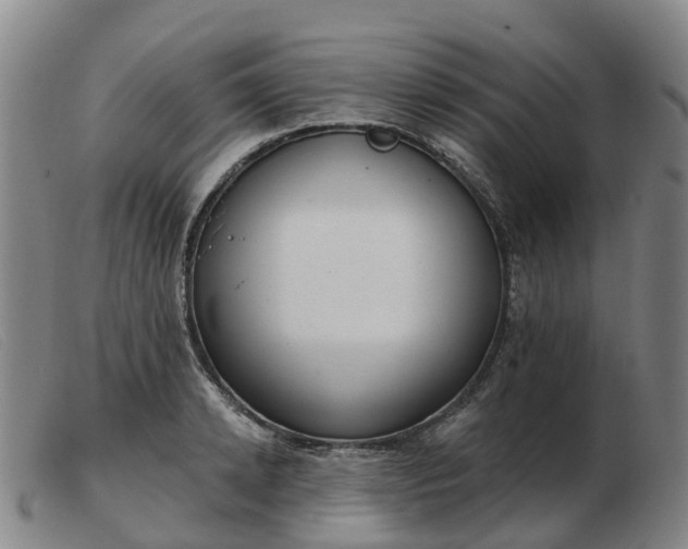 X0000103440942200809191721