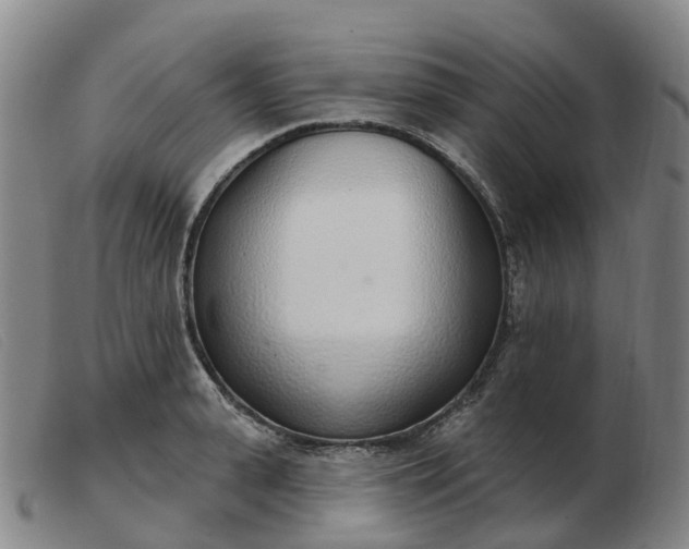 X0000103440943200809191721