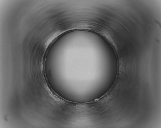 X0000103440944200809191721