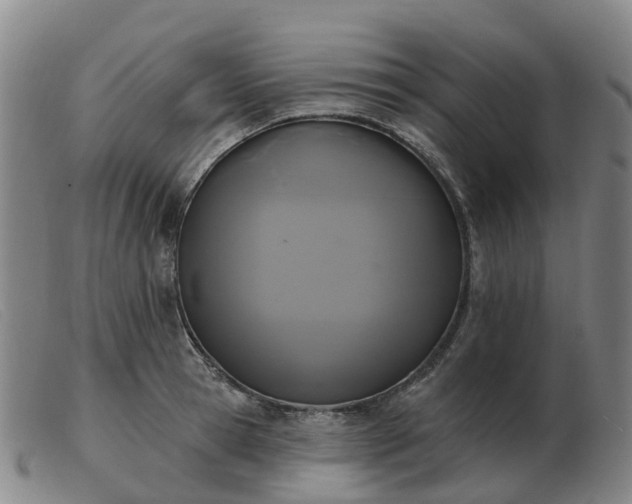 X0000103440945200809191721