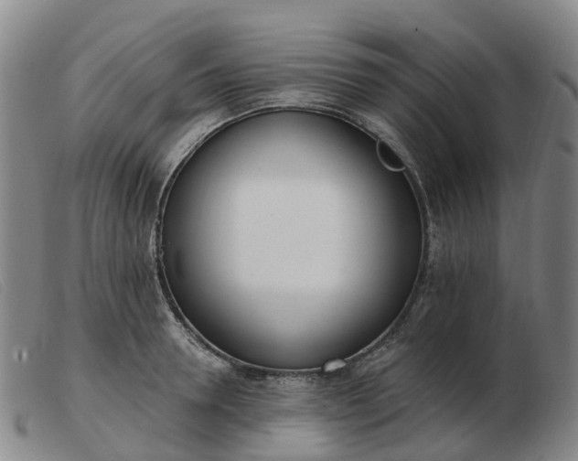 X0000103440946200809191721