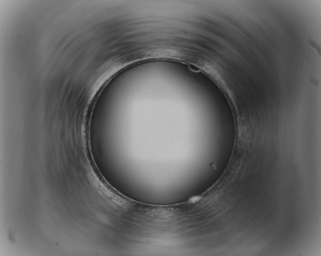 X0000103440947200809191721