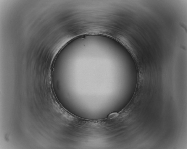 X0000103440948200809191721