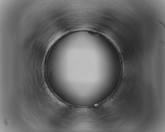 X0000103440949200809191721