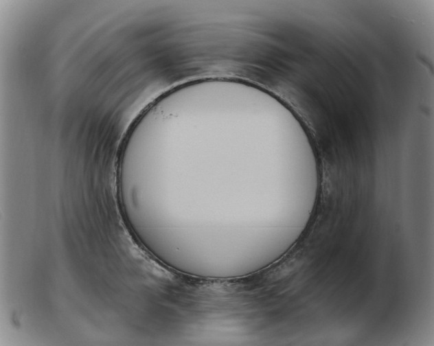 X0000103440950200809191721