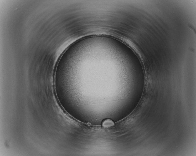 X0000103440951200809191721