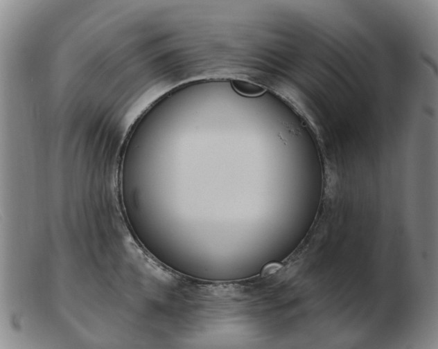 X0000103440952200809191721