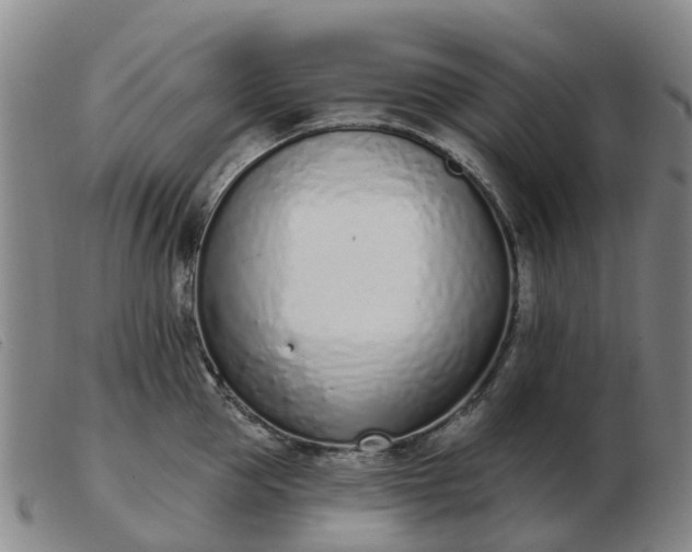X0000103440953200809191721