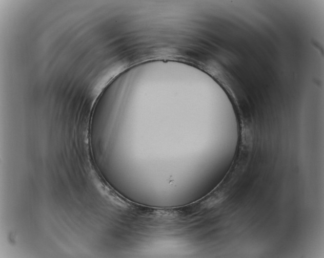 X0000103440954200809191721