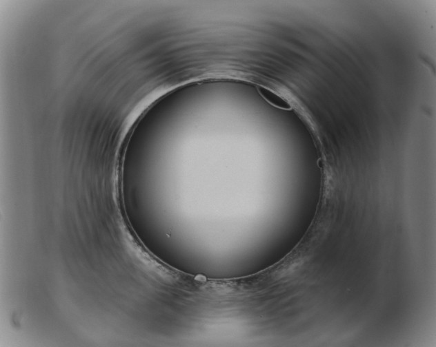 X0000103440955200809191721