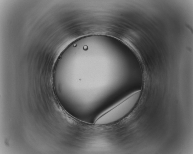 X0000103440956200809191721