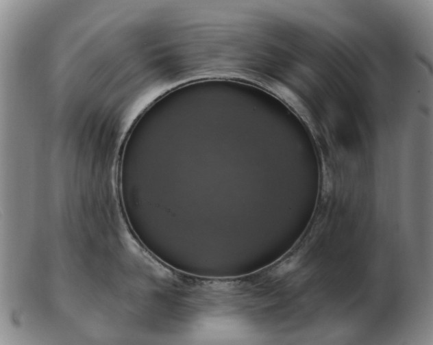 X0000103440958200809191721