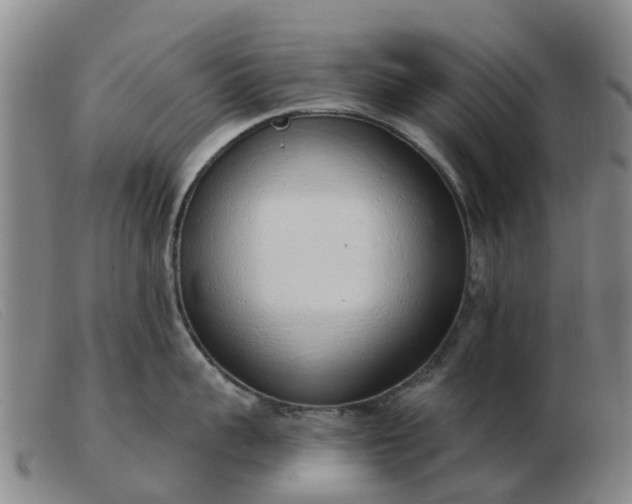 X0000103440959200809191721