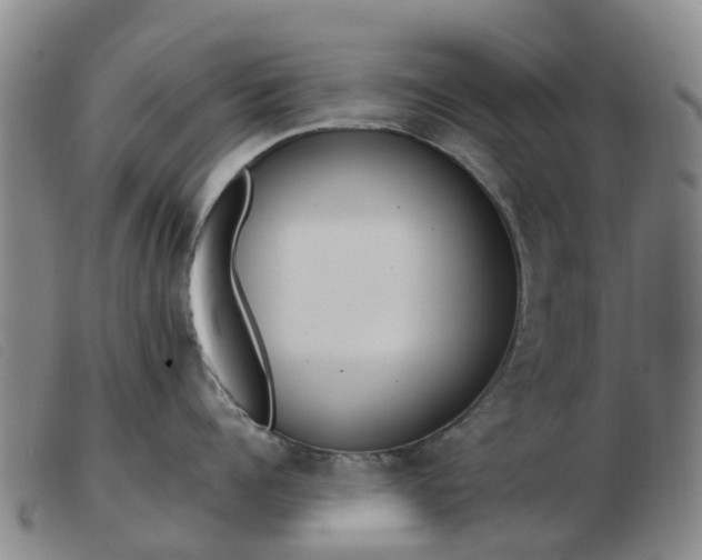 X0000103440960200809191722