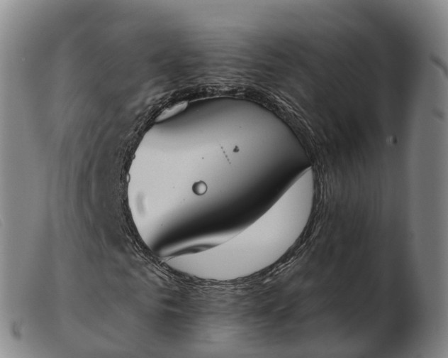 X0000103440961200809191721