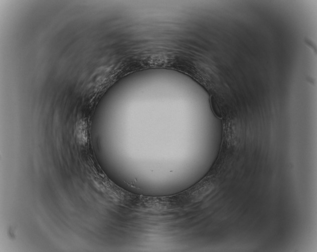 X0000103440962200809191721