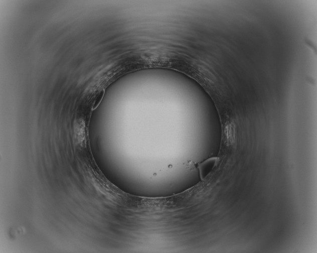 X0000103440963200809191721