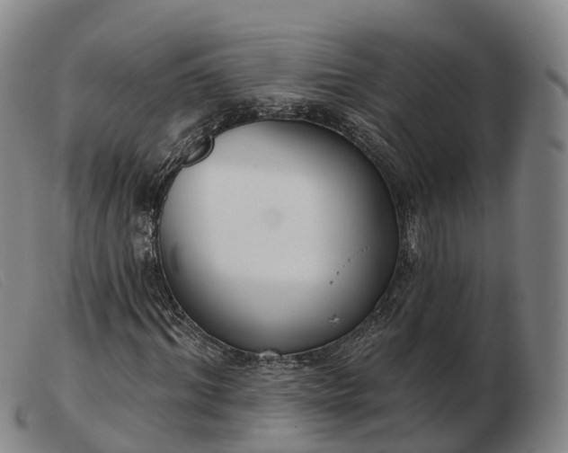 X0000103440964200809191721