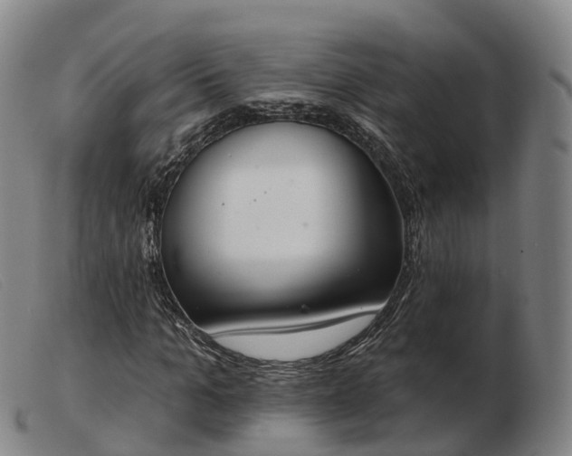 X0000103440965200809191721