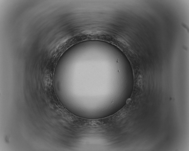 X0000103440966200809191721