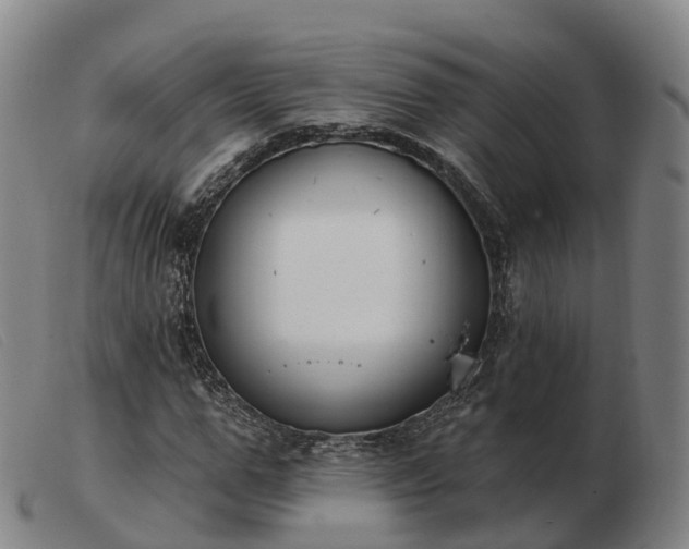 X0000103440967200809191721