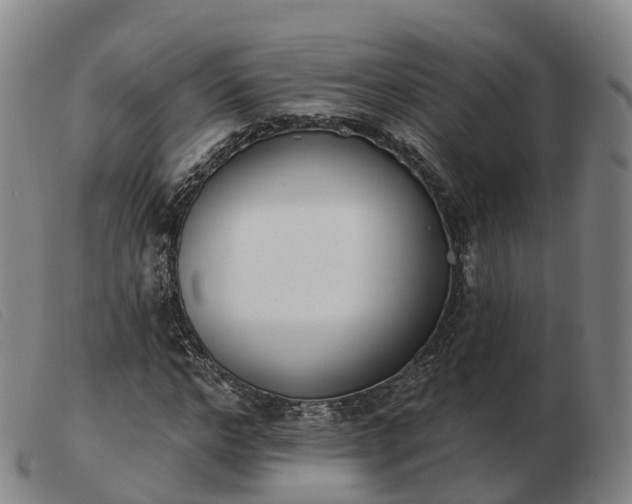 X0000103440968200809191721
