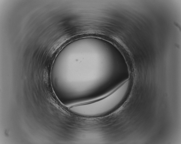 X0000103440969200809191721