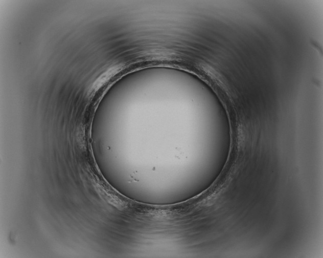 X0000103440970200809191721
