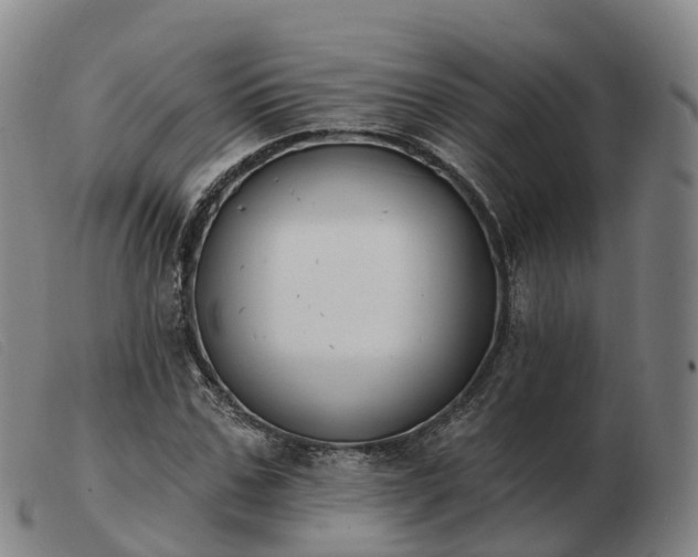 X0000103440971200809191721