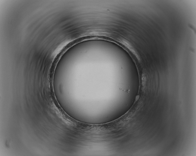 X0000103440972200809191721