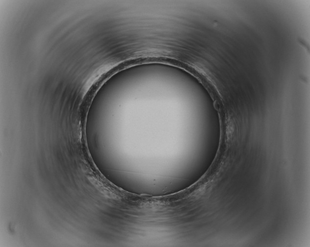 X0000103440973200809191721