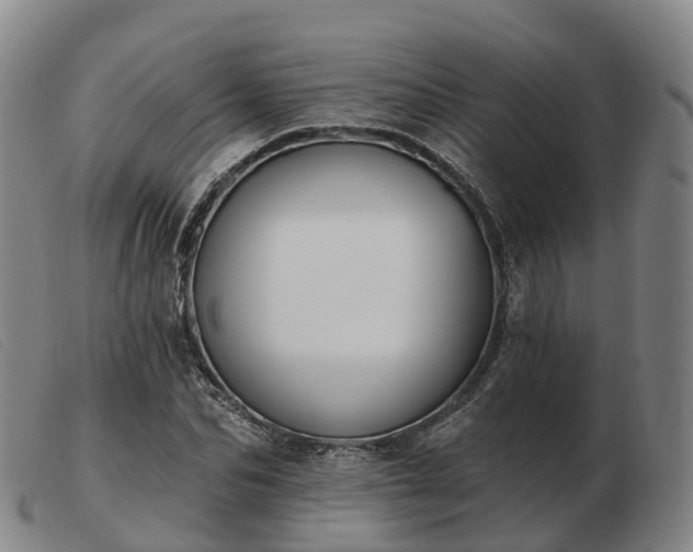 X0000103440974200809191721