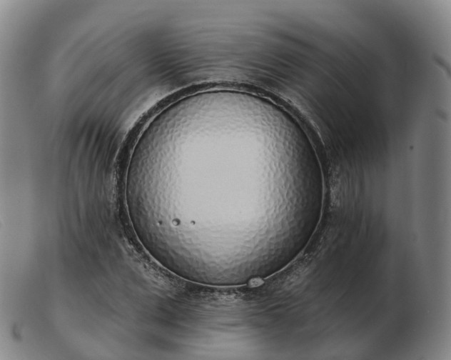 X0000103440975200809191721