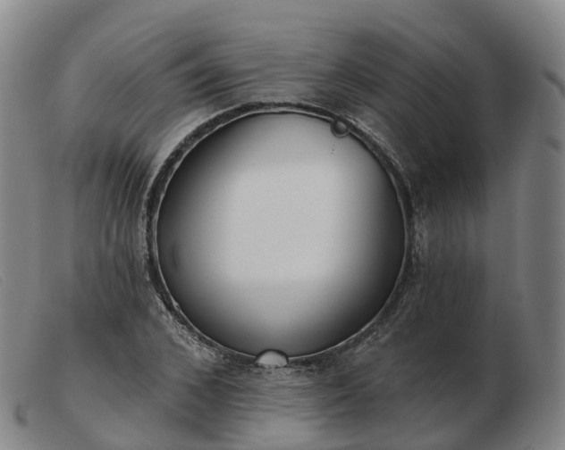 X0000103440976200809191721